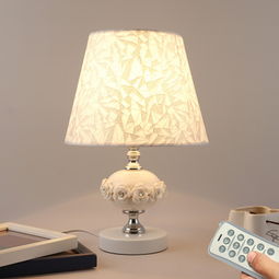 家和燈飾產品及加盟店 照亮家居與商業前景