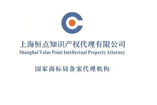 上海恒點知識產(chǎn)權(quán)代理 專業(yè)護航創(chuàng)新成果的知產(chǎn)管家